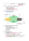 Bioloogia konspekt-aine- ja energiavahetus-ATP-fotosüntees #9