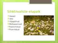 Sihktiivalised #3