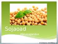 Sojaoad
