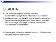 Liha ja subproduktid #17