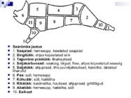 Liha ja subproduktid #19