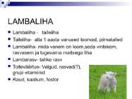 Liha ja subproduktid #21