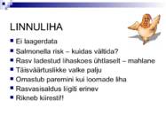 Liha ja subproduktid #23