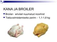 Liha ja subproduktid #24