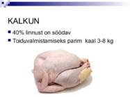 Liha ja subproduktid #26