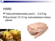 Liha ja subproduktid #27