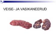 Liha ja subproduktid #32