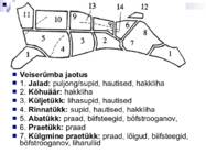 Liha ja subproduktid #9