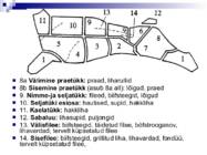 Liha ja subproduktid #10