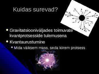 Must auk #9