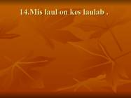 Kuldvillak #15