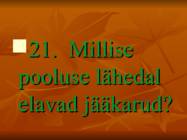 Kuldvillak #22