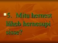 Kuldvillak #6