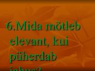 Kuldvillak #7
