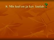 Kuldvillak #9