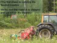 How to produce bioenergy from agricultural resources without harming the environment #16