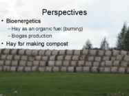 How to produce bioenergy from agricultural resources without harming the environment #18