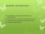 KANARBIK #4