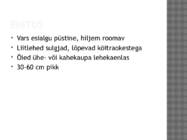 Vikk #4