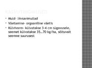 Vikk #6