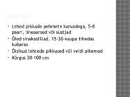 Vikk #9