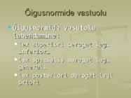 Õigusopetus 2015 - Üldosa #32