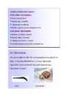 Arengubioloogia #8