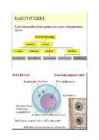 Arengubioloogia #10
