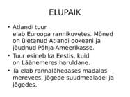 ATLANDI TUUR Acipenser sturio #2