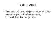 ATLANDI TUUR Acipenser sturio #4