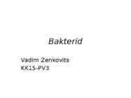 Bakterid