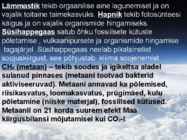 Atmosfääri koostis ja ehitus #4