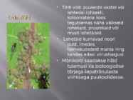 Kasepuu haigused ja kahjurid #14