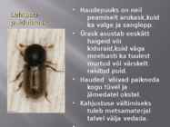 Kasepuu haigused ja kahjurid #18