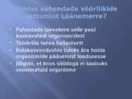 Võõrliigid läänemeres #6