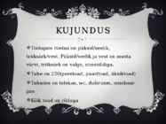 Väljamõeldud Hotell-Järve #8