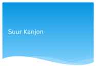 Suur Kanjon