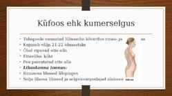 Rühivead #3