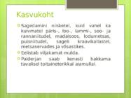 Palderjan #4