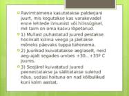 Palderjan #7
