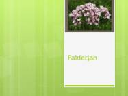 Palderjan