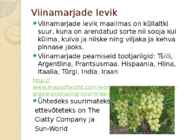 VIINAMARI #2