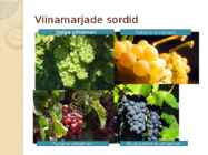VIINAMARI #5