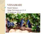 VIINAMARI