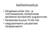 Päevalill #2