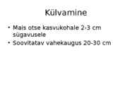 Päevalill #5
