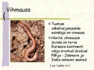 Ussi mitmekesisus #11
