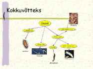 Ussi mitmekesisus #18