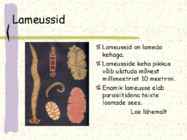 Ussi mitmekesisus #3