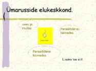 Ussi mitmekesisus #7